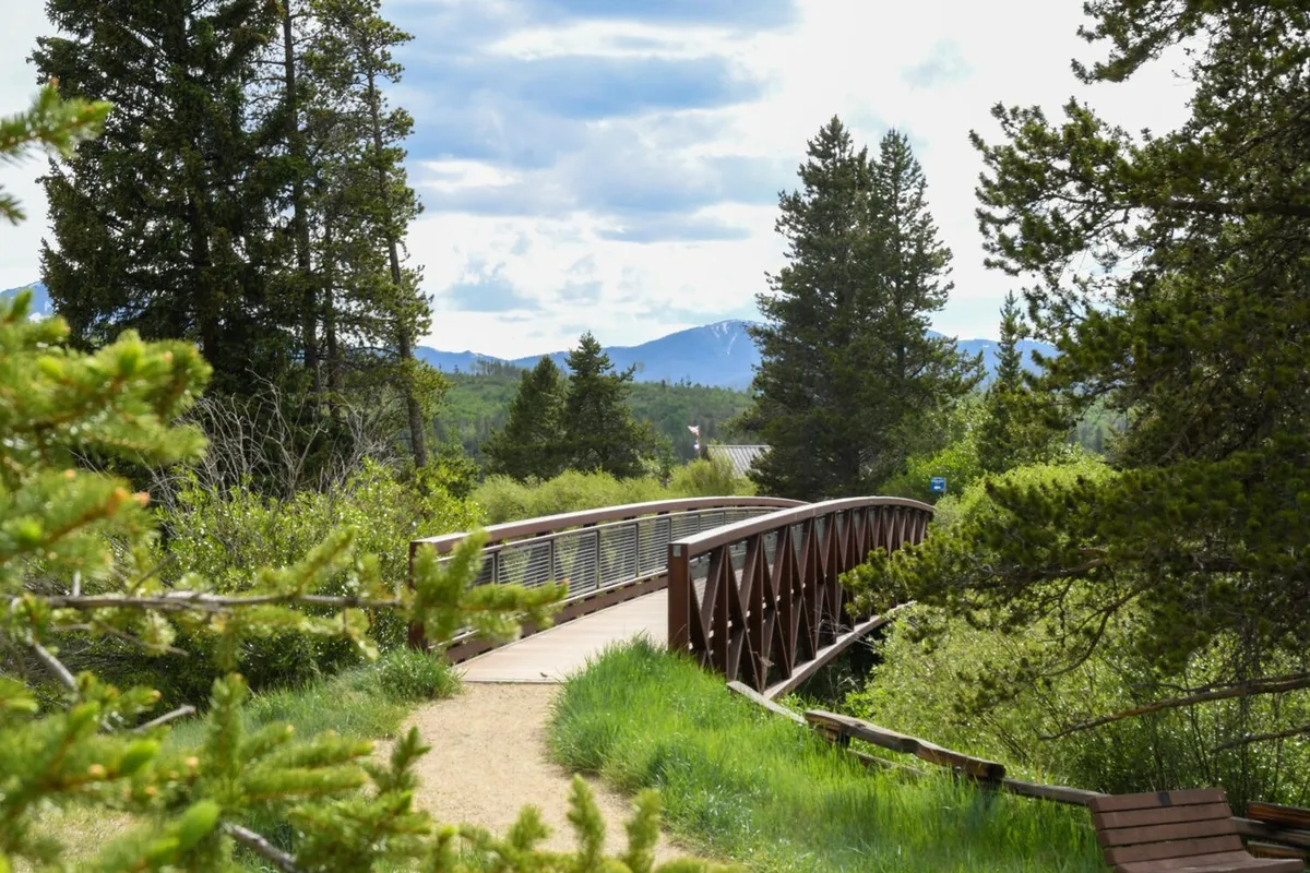 This image captures a serene wooden bridge surrounded by lush trees with a picturesque mountain backdrop. The natural path leading through the greenery suggests opportunities for walking, biking, and exploring nature with a dog.